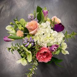 Botanicals by Jessica
