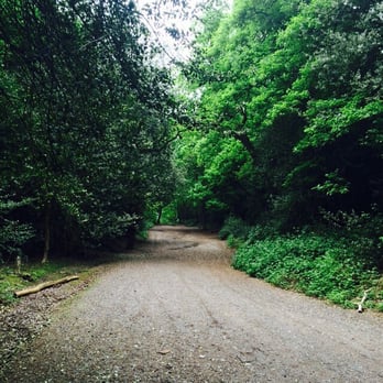 Sutton Park - Parks Near Me - Sutton Coldfield, XWM