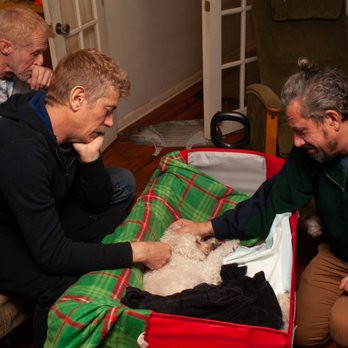 Lap of Love - Lap of Love - Milwaukee - Veterinarians Near Me Lap of Love - Lap of Love - Milwaukee - Veterinarians Near Me