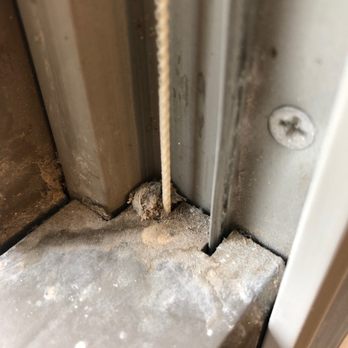 Royal Pane Window Cleaning & Pressure Washing - Window Washing Near Me Royal Pane Window Cleaning & Pressure Washing - Window Washing Near Me