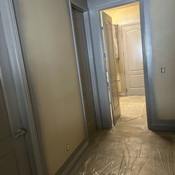 Elite Painting