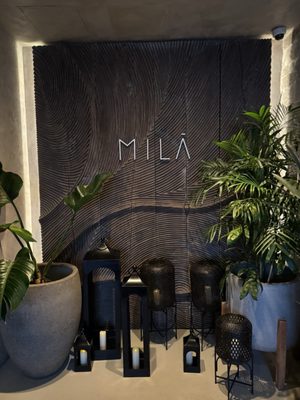 MILA Omakase by null