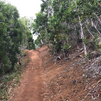 Manana Trail - Hiking Near Me Manana Trail - Hiking Near Me
