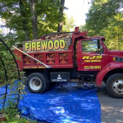 RJS Tree Service - RJS tree service