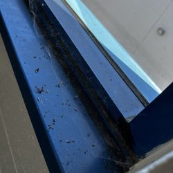 US Storage Centers - Spider webs and Spiders have been here since we moved in, 6 months ago