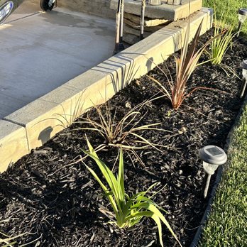 Santana's Landscaping - The sprinklers are watering the jet skis instead of the grass - Landscaping Near Me