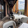 River House at Odette's gift card