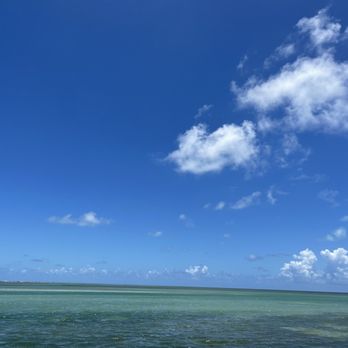 Whale Harbor Restaurant & Seafood Buffet - Seafood Near Me - Islamorada, Florida