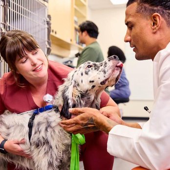 Banfield Pet Hospital - Veterinarians Near Me - Ankeny, Iowa Banfield Pet Hospital - Veterinarians Near Me - Ankeny, Iowa