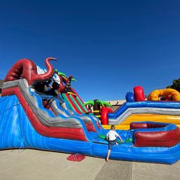 Tentacle water slide