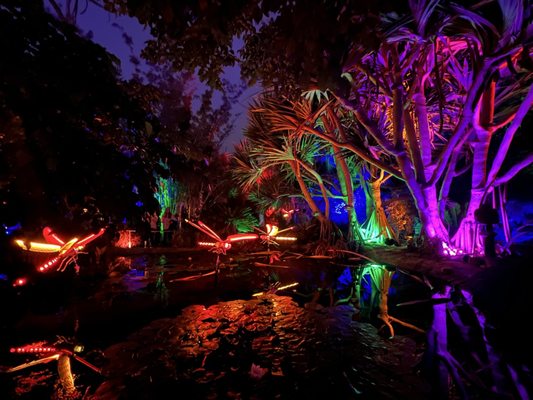San Diego Botanic Garden by null