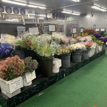 Watanabe Floral - Loose flowers - Florists Near Me - Honolulu, Hawaii Watanabe Floral - Loose flowers - Florists Near Me - Honolulu, Hawaii