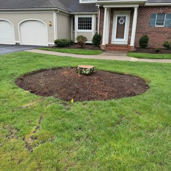 Precision Tree And Landscape - Tree Services Near Me
