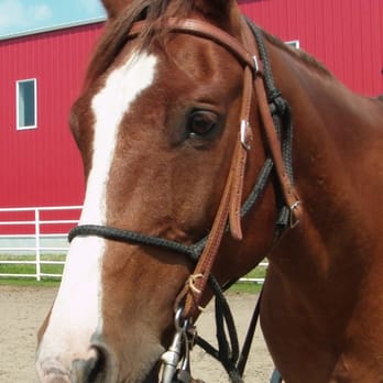 Birch Bay Ranch - Summer Camps Near Me - Sherwood Park, Alberta Birch Bay Ranch - Summer Camps Near Me - Sherwood Park, Alberta