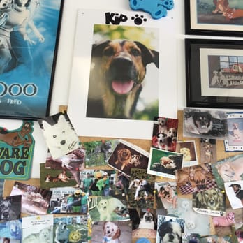 Kip's Ice Cream - Kip their dog - Ice Cream & Frozen Yogurt Near Me - Coraopolis, Pennsylvania Kip's Ice Cream - Kip their dog - Ice Cream & Frozen Yogurt Near Me - Coraopolis, Pennsylvania