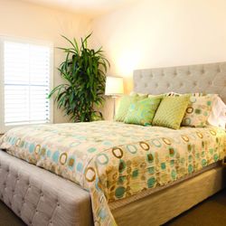 The Carlotta - Community apartment home