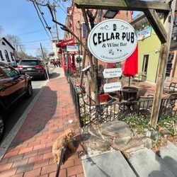Cellar Pub & Wine Bar