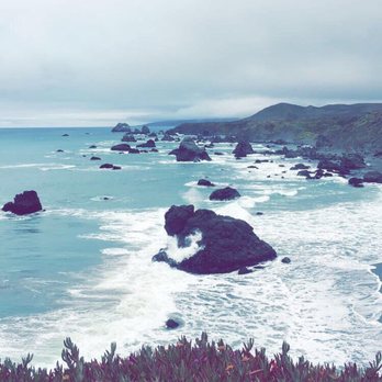 Sonoma Coast State Beach - Campgrounds Near Me - Bodega Bay, California