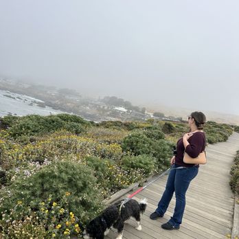 Maddie Mae's Pet Pantry - Fiscalini Preserve , lots of fleas , foxtails and ticks here. Try to keep to the trail. - Pet Stores Near Me - Cambria, California