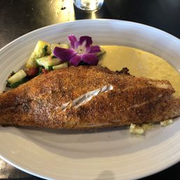 Black Snapper Black Snapper