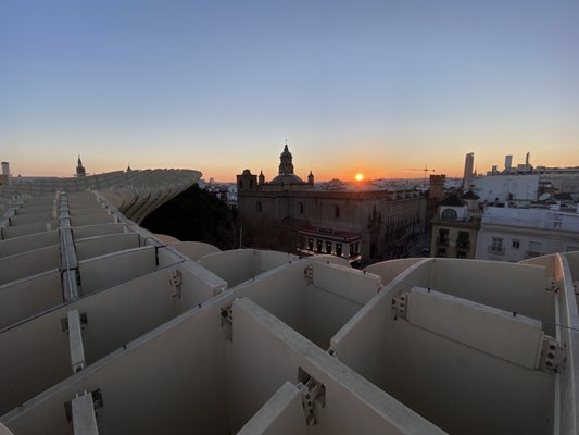 Setas de Sevilla by null