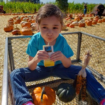 Stanly Lane Pumpkin Patch - Pumpkins and wagons - Pumpkin Patches Near Me - Napa, California