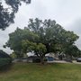 Photo of Madison Avenue Elementary School