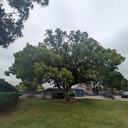 Madison Avenue Elementary School