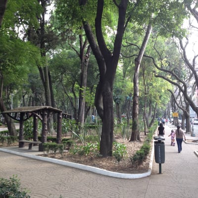 Parque México by null