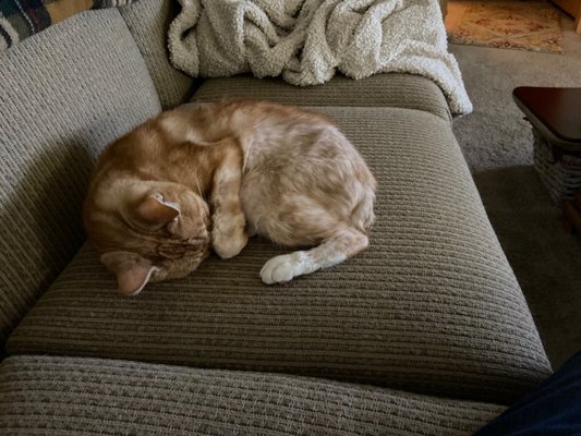 Northwest Compounders