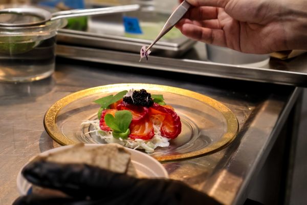 Kahlo & Loyal by null