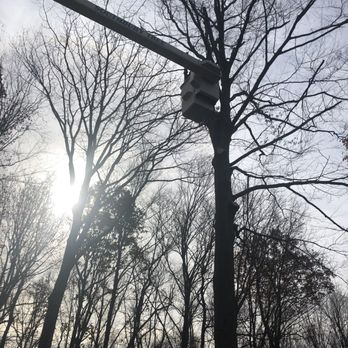 Southbury Tree Service - Tree Services Near Me - Oxford, Connecticut Southbury Tree Service - Tree Services Near Me - Oxford, Connecticut