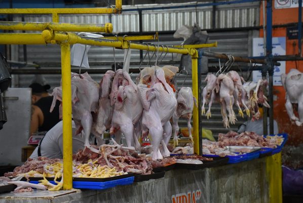 Mercado Lucas De Galvéz by null