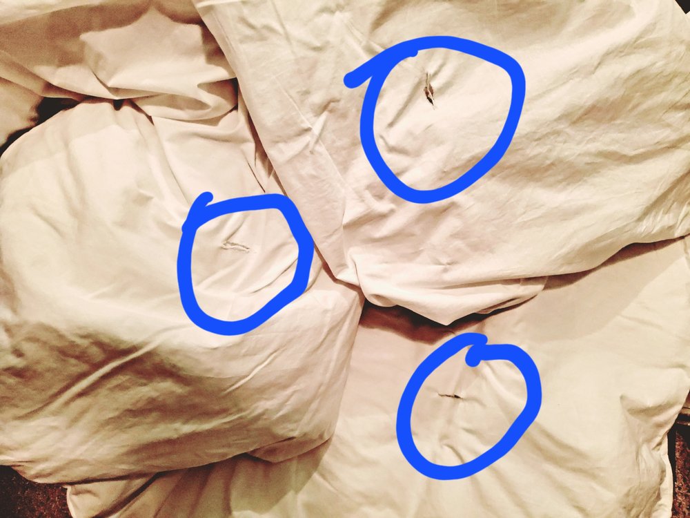 EXPRESS CLEANERS II Updated September 2024 2451 Cumberland Pkwy SE