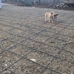 Bayworx concrete