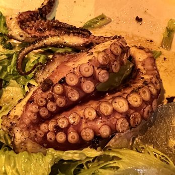 La Scarola - Terrific grilled octopus. - Italian Near Me - Chicago, Illinois La Scarola - Terrific grilled octopus. - Italian Near Me - Chicago, Illinois