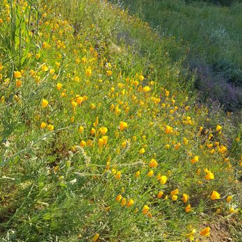 Walker Canyon Ecological Reserve - Wildlife Hunting Ranges Near Me