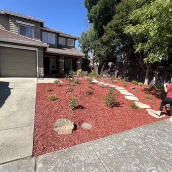 Yardworks - Part of the yard that never survived the summer - Tree Services Near Me - San Jose, California