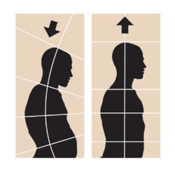 The Rolf Workshop - Manny Aragon BCAPSI
Rolfing, Rolf Method of Structural Integration