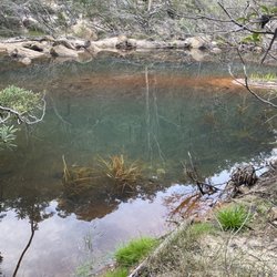 Blue Mountains National Park Glenbrook