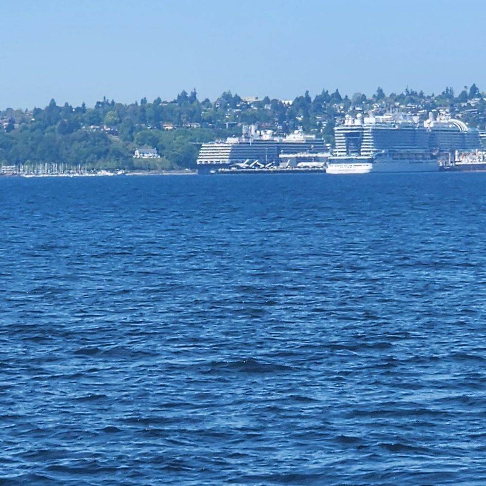 Salish Sea Tours - Boat Tours Near Me - Seattle, Washington Salish Sea Tours - Boat Tours Near Me - Seattle, Washington