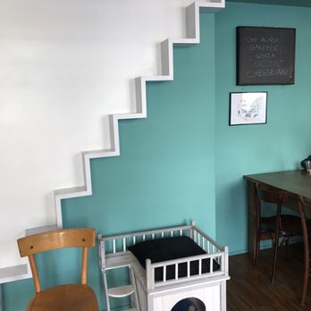 Crazy Cat Café - Built for kitty - Cafes Near Me - Milan, Michigan