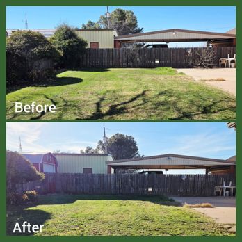 Maness Tree & Brush Service - Tree trimming and full property cleanup in Abilene - Tree Services Near Me - Tuscola, Texas Maness Tree & Brush Service - Tree trimming and full property cleanup in Abilene - Tree Services Near Me - Tuscola, Texas