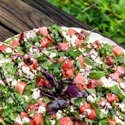 Zest Nutrition - Eat with zest, live gracefully!