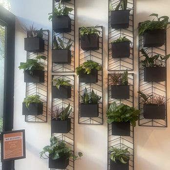 Formation Brewing - Beautiful wall display - Brewpubs Near Me - Phoenix, Arizona
