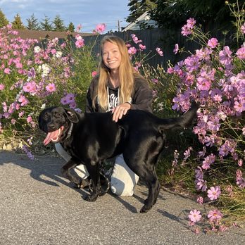 Vacation Pet Care - Dog Walkers Near Me - Everett, Washington Vacation Pet Care - Dog Walkers Near Me - Everett, Washington