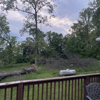 Picket Fence Lawn Services - 2 trees that I needed cut up and hauled off - Lawn Services Near Me - Radcliff, Kentucky