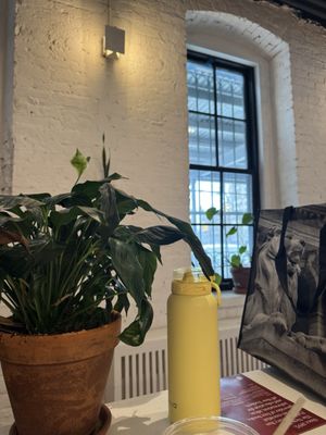 Afficionado Coffee Roasters by null