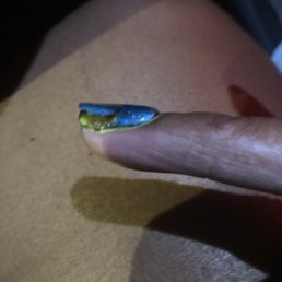 24 hrs later dip nail with cat eye polish comes up.