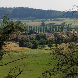 Gasthaus Schlosshalde - The view